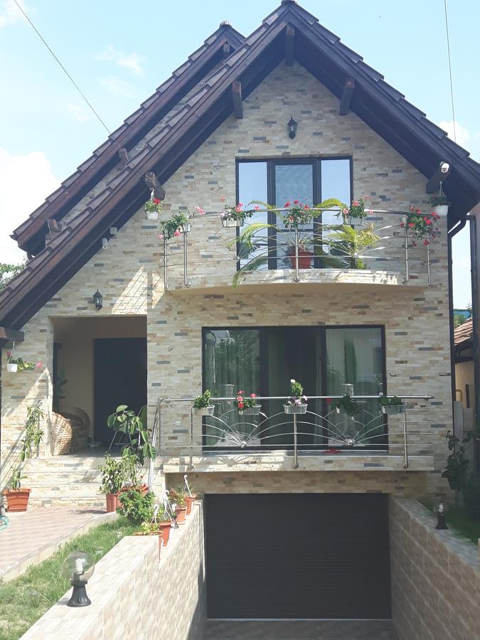 מלון Călimăneşti Vila Alexia מראה חיצוני תמונה