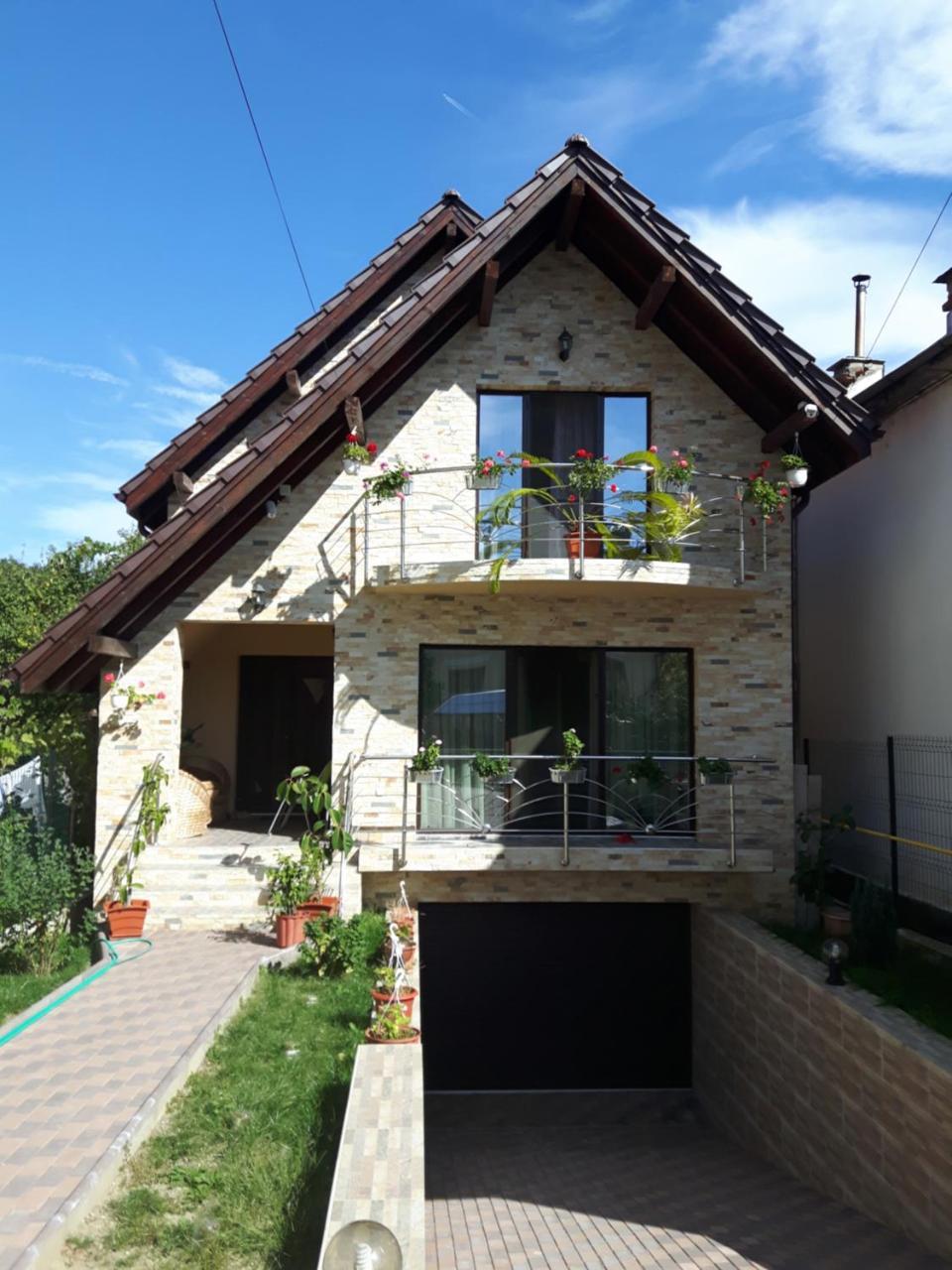 מלון Călimăneşti Vila Alexia מראה חיצוני תמונה