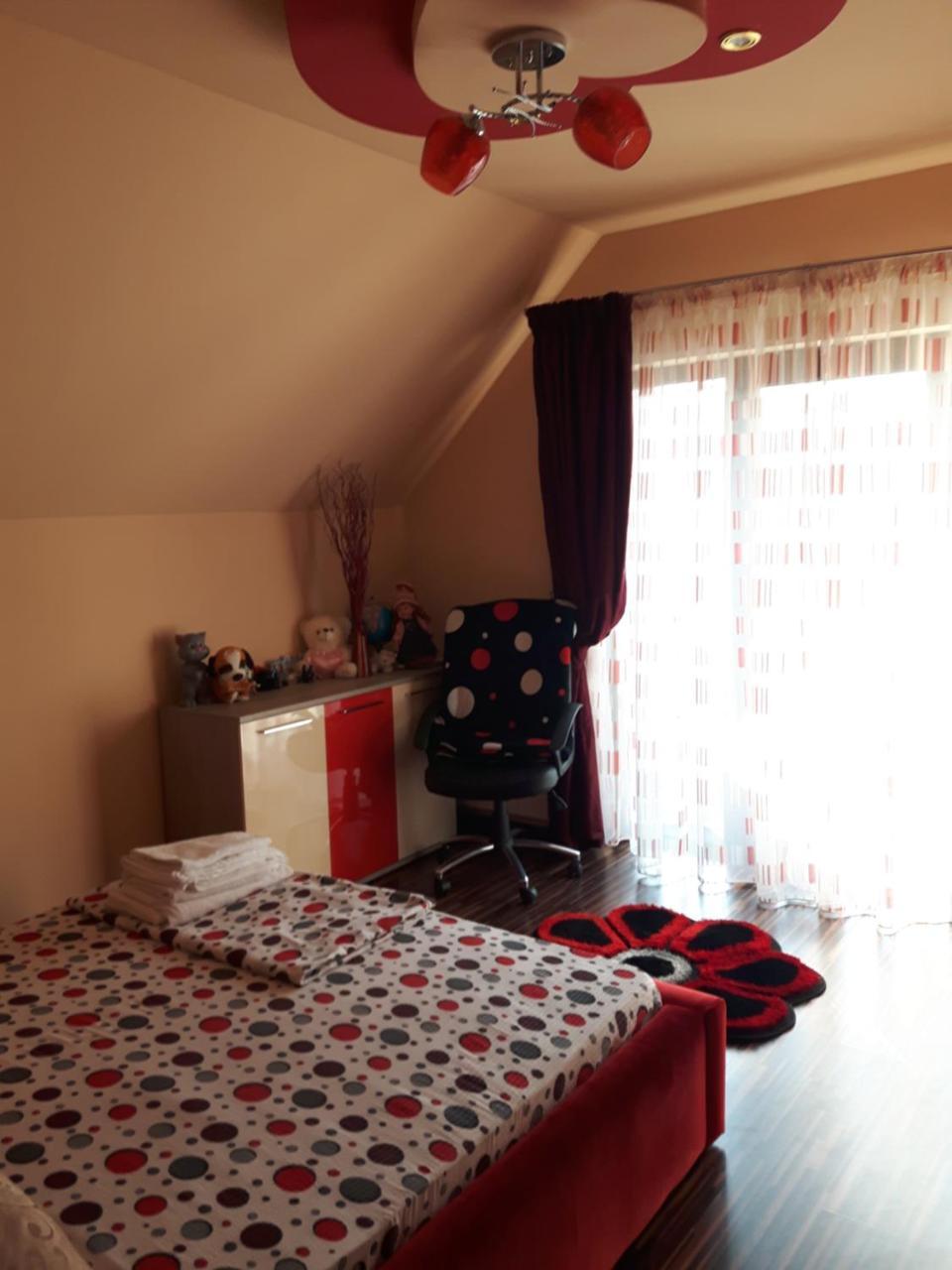 מלון Călimăneşti Vila Alexia מראה חיצוני תמונה