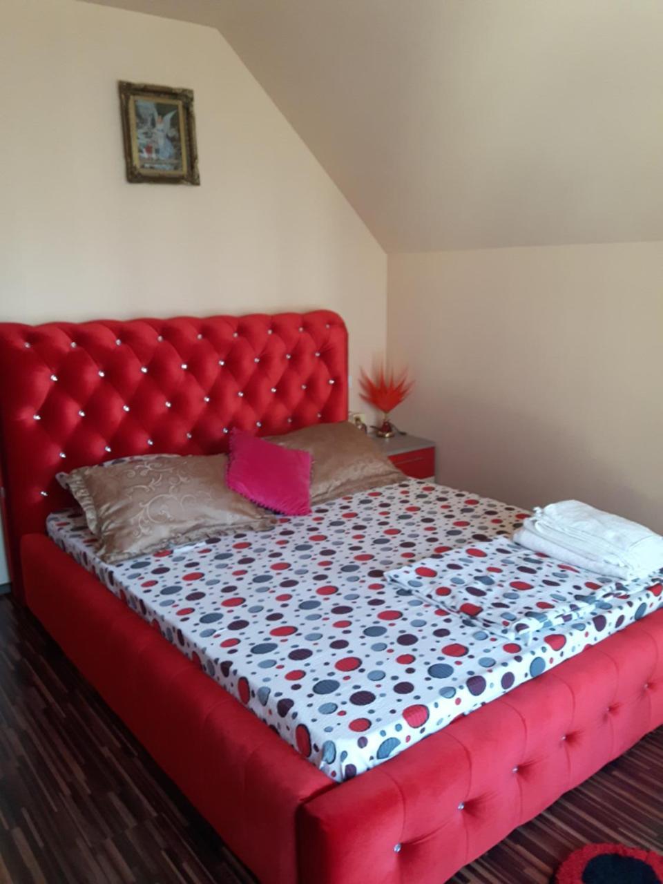 מלון Călimăneşti Vila Alexia מראה חיצוני תמונה