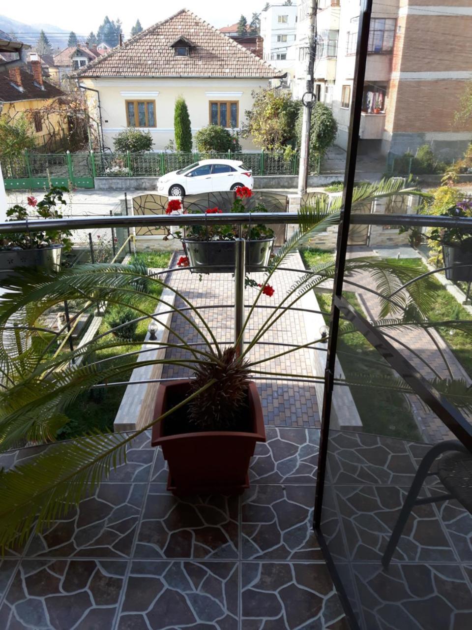 מלון Călimăneşti Vila Alexia מראה חיצוני תמונה