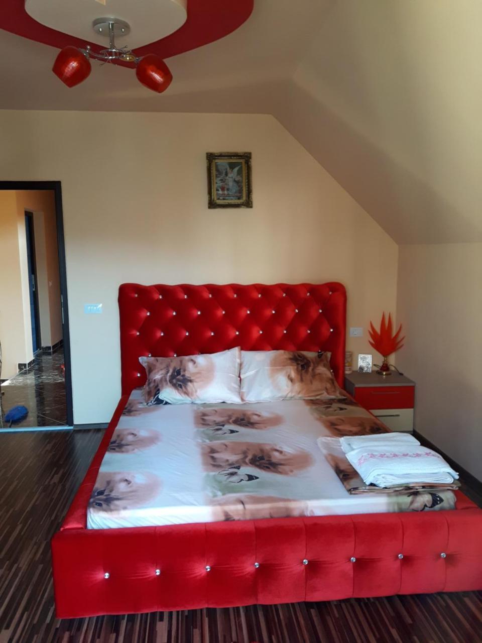 מלון Călimăneşti Vila Alexia מראה חיצוני תמונה