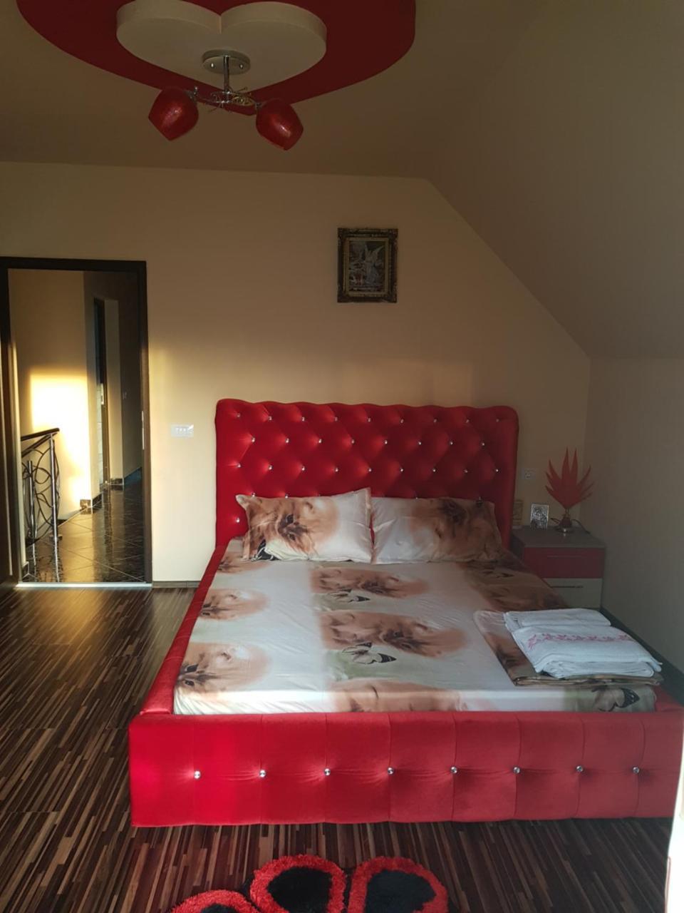 מלון Călimăneşti Vila Alexia מראה חיצוני תמונה