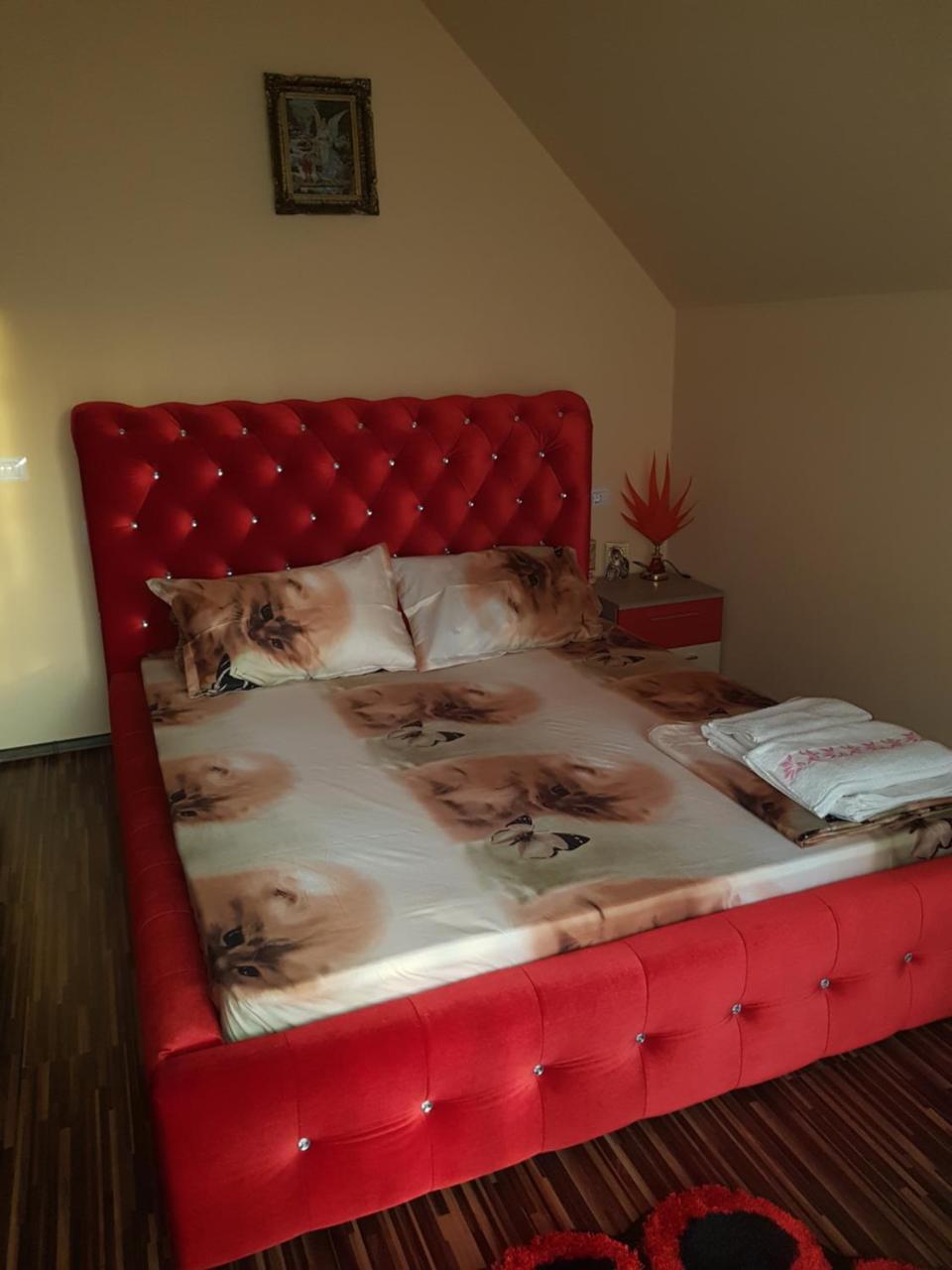 מלון Călimăneşti Vila Alexia מראה חיצוני תמונה