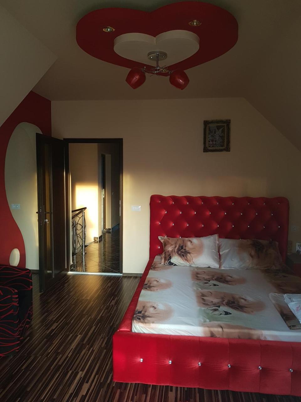 מלון Călimăneşti Vila Alexia מראה חיצוני תמונה