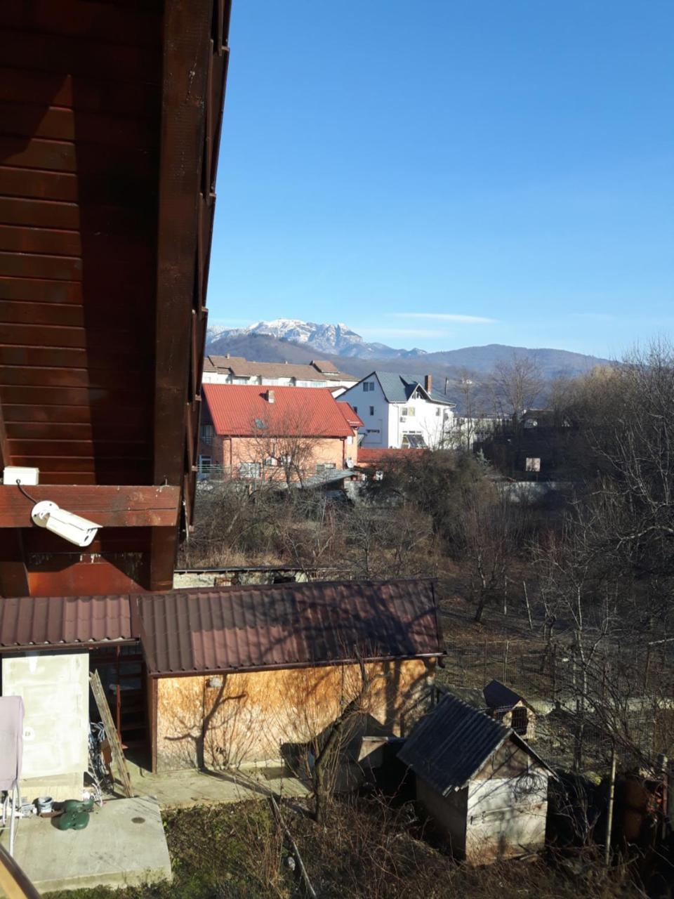 מלון Călimăneşti Vila Alexia מראה חיצוני תמונה